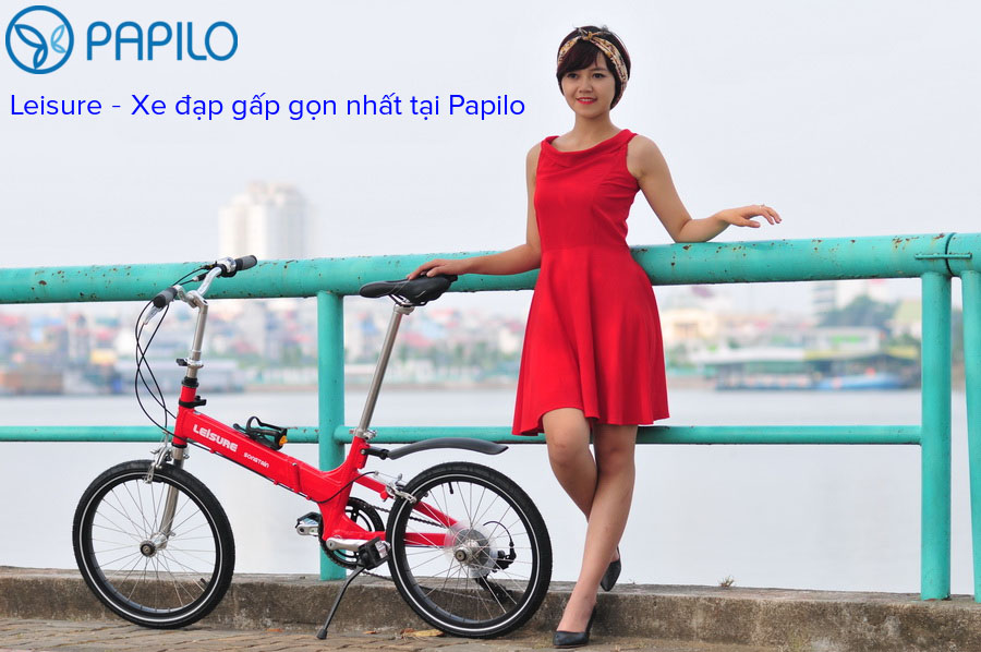 top-5-cac-dong-xe-gap-gon-sieu-hiem-tai-papilo
