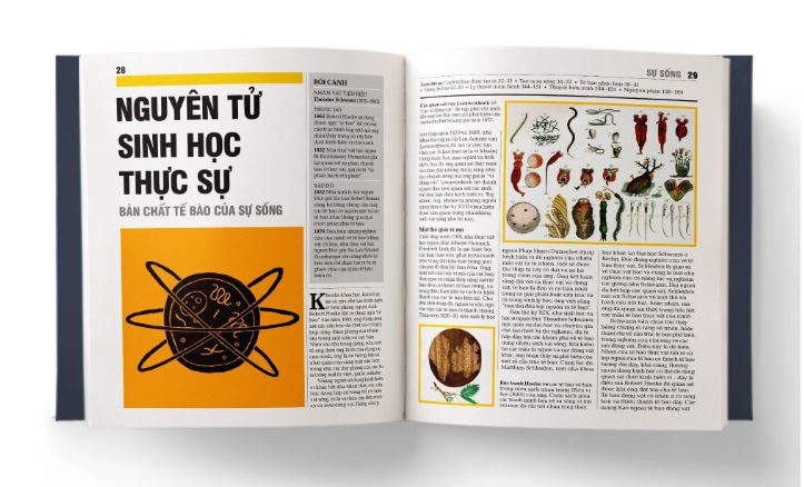 Sách Khái Lược Những Tư Tưởng Lớn - Sinh Học (Bìa Cứng) - DK