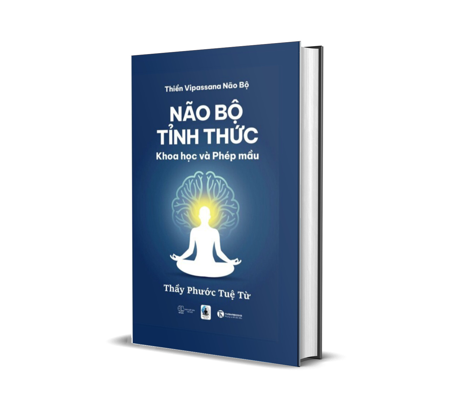 Não Bộ Tỉnh Thức - Khoa Học Và Phép Màu (Thầy Phước Tuệ Từ)