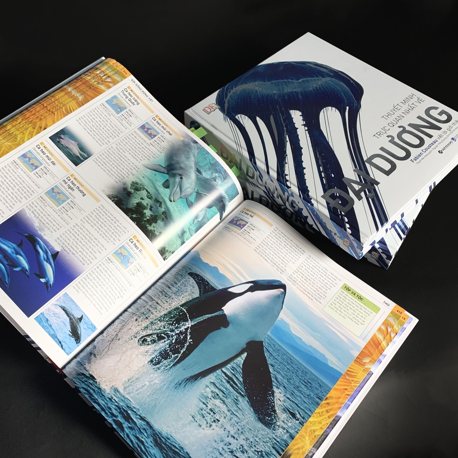 Đại Dương: Thuyết Minh Trực Quan Nhất