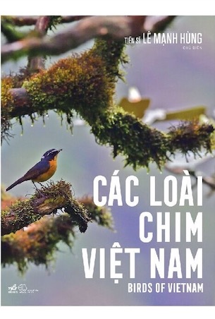 Các loài chim Việt Nam - Lê Mạnh Hùng