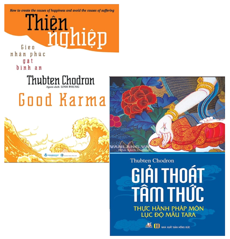 Combo (2 Cuốn Sách) Thiện Nghiệp + Giải Thoát Tâm Thức (Thubten Chodron)