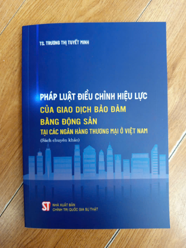 Pháp luật điều chỉnh hiệu lực của giao dịch bảo đảm bằng động sản tại các ngân hàng thương mại ở Việt Nam (Sách chuyên khảo) - TS. Trương Thị Tuyết Minh