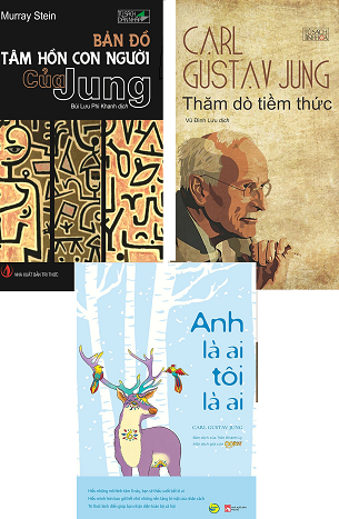 combo 3 cuốn: Bản Đồ Tâm Hồn Con Người Của Jung +Thăm Dò Tiềm Thức + Anh Là Ai Tôi Là Ai