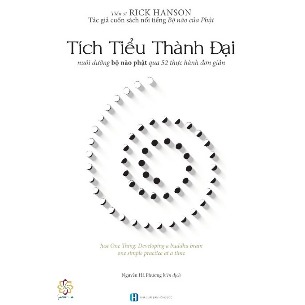 Bộ 3 Cuốn Bộ Não Của Phật+Tích Tiểu Thành Đại+Nhẫn - Tiến sĩ Rick Hanson và bác sĩ Richard Mendius