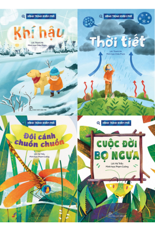 Khám Phá NOHU 28 - Hành Trình Tìm Kiếm Những Giá Trị Đích Thực