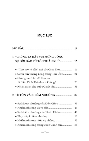 Cơn Say Từ Tốn Thần Khí - Lm Micae Trần Đình Quảng