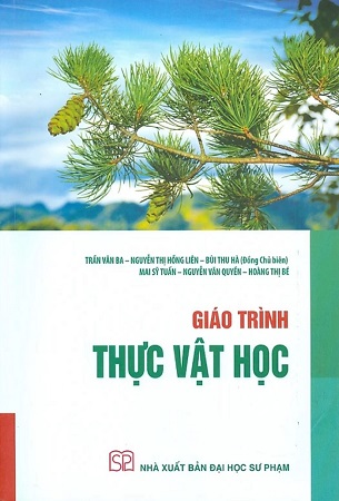 Sách Giáo Trình Thực Vật Học - Trần Văn Ba, Nguyễn Thị Hồng Liên, Bùi Thu Hà