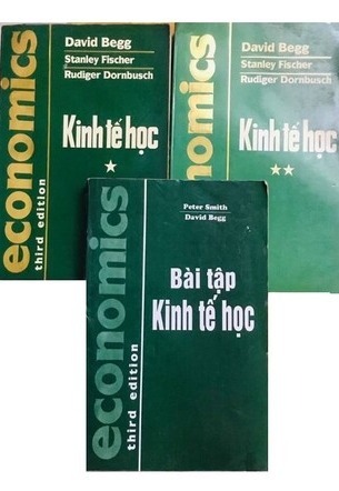 Kinh Tế Học David Bergg