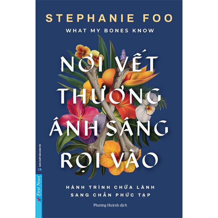 Nơi Vết Thương Ánh Sáng Rọi Vào - Stephanie Foo