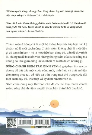 Sách Sống Chánh Niệm, Tâm Bình Yên - Hạnh phúc do thấu hiểu, tĩnh lặng từ bình tâm - Paddy Brosnan