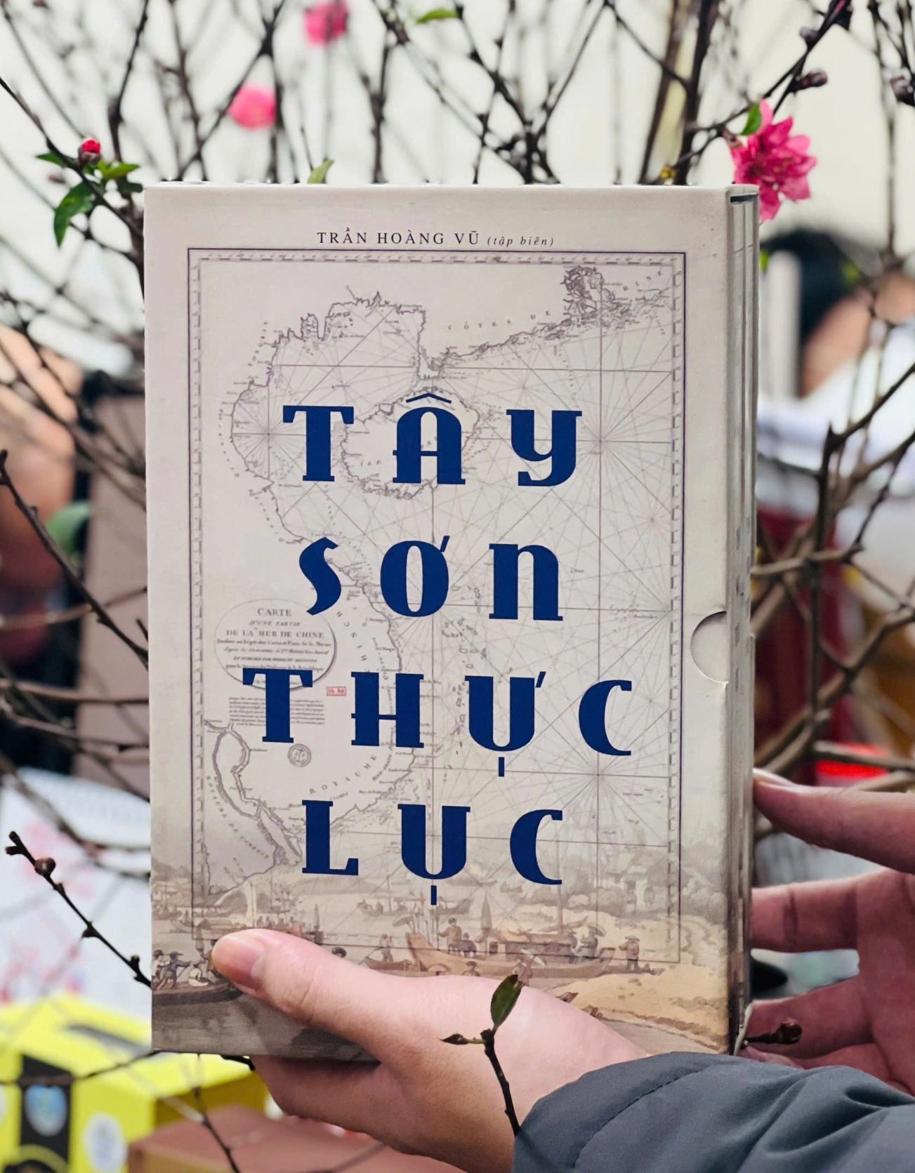 Tây Sơn Thực Lục (Trọn bộ) - Trần Hoàng Vũ