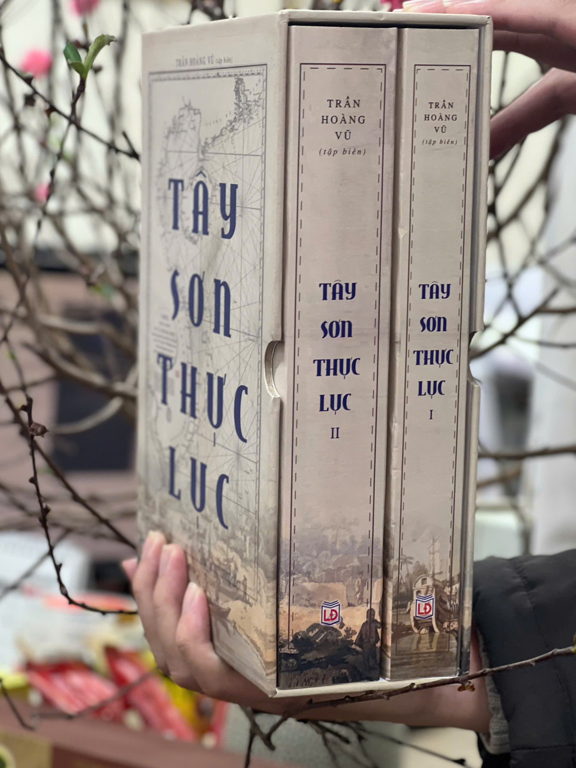 Tây Sơn Thực Lục (Trọn bộ) - Trần Hoàng Vũ