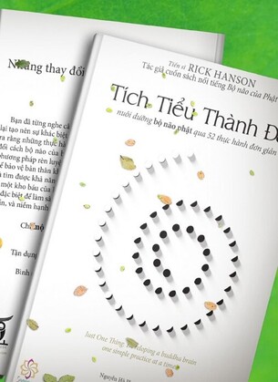 Bộ não của Phật; Tích Tiểu Thành Đại Rick Hanson