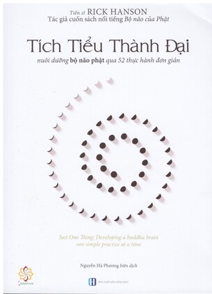 Tích Tiểu Thành Đại - Rick Hanson