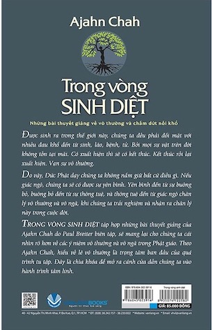 Trong Vòng Sinh Diệt - Ajahn Chah