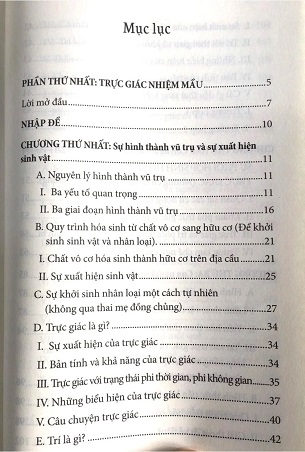 Sách Trực Giác Nhiệm Màu - Dịch Lý Việt Nam - Đôi Điều Suy Ngẫm Về Đạo Phật - Trần Phương