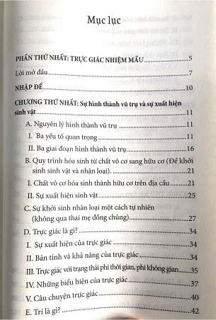 Sách Trực Giác Nhiệm Màu - Dịch Lý Việt Nam - Đôi Điều Suy Ngẫm Về Đạo Phật - Trần Phương