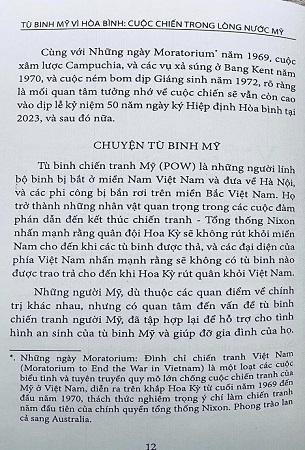 Sách Tù Binh Mỹ Vì Hòa Bình: Cuộc Chiến Trong Lòng Nước Mỹ - Tom Wilber, Jerry Lembcke