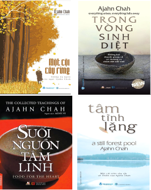 Combo (4 cuốn sách) Một Cội Cây Rừng + Trong Vòng Sinh Diệt + Suối Nguồn Tâm Linh + Tâm Tĩnh Lặng (Ajahn Chah)