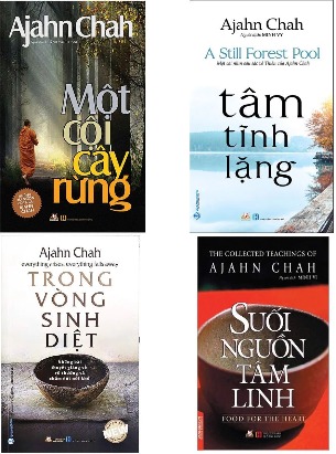 Combo sách  Một Cội Cây Rừng + Tâm Tĩnh Lặng + Suối Nguồn Tâm Linh + Trong Vòng Sinh Diệt - Ajahn Chah (4 cuốn)