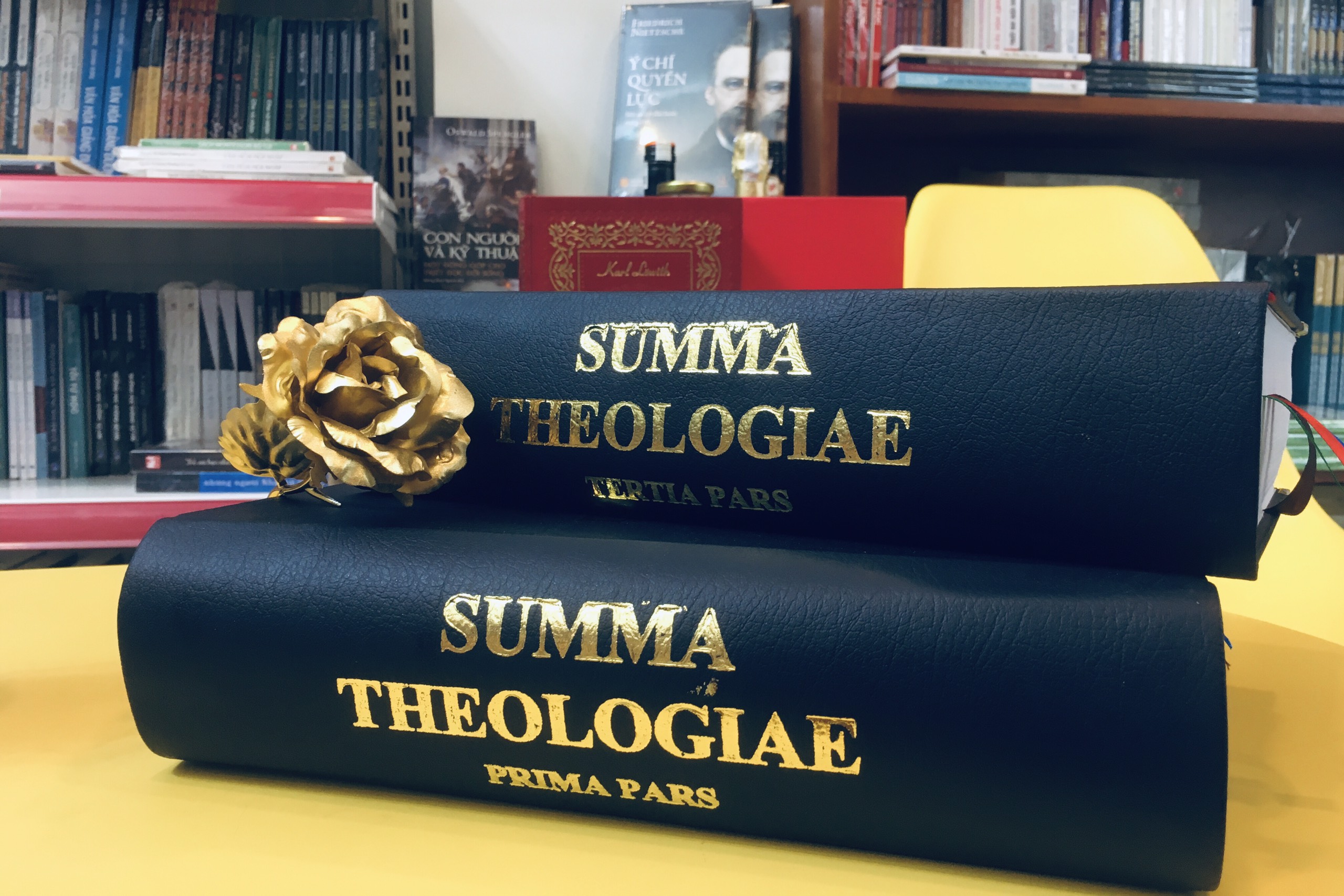 Sách Tổng luận thần học thánh Tôma của tác giả Học viện Đa Minh