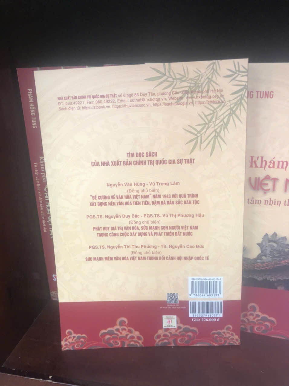 Khám phá văn hóa Việt Nam - Từ tiếp cận lịch sử đến tầm nhìn thời đại (Phạm Hồng Tung)