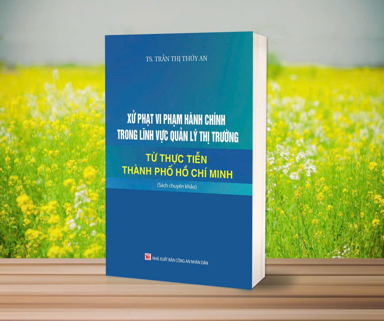 Xử phạt vi phạm hành chính trong lĩnh vực quản lý thị trường - Từ thực tiễn Thành Phố Hồ Chí Minh (Sách chuyên khảo) - TS. Trần Thị Thúy An