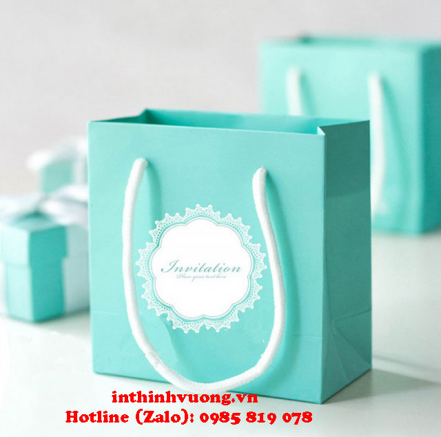 in túi giấy thời trang
