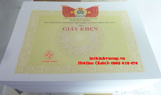 in giấy khen công đoàn