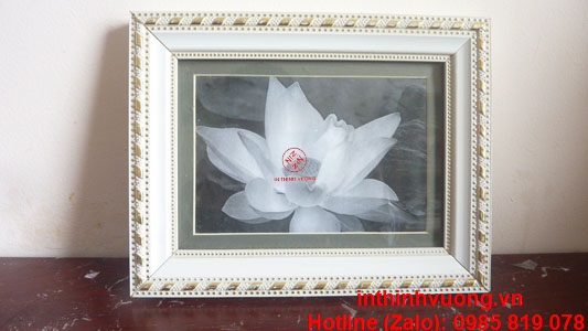 khung giấy khen trắng viền vàng đẹp