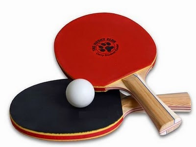Hướng dẫn chọn và thông số của vợt bóng bàn
