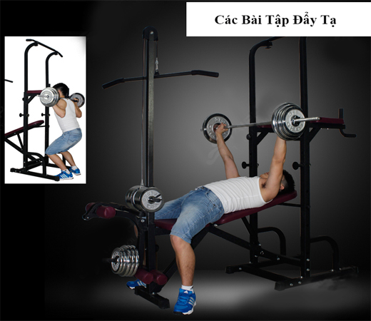 Mua giàn tập tạ tại nhà nào tốt nhất năm 2016