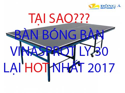 Đánh giá mẫu bàn bóng bàn vinasport ly30 chân sắt đang cháy hàng năm 2017