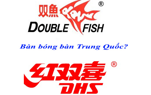 Bàn bóng bàn Trung Quốc, bạn đã hiểu hết?