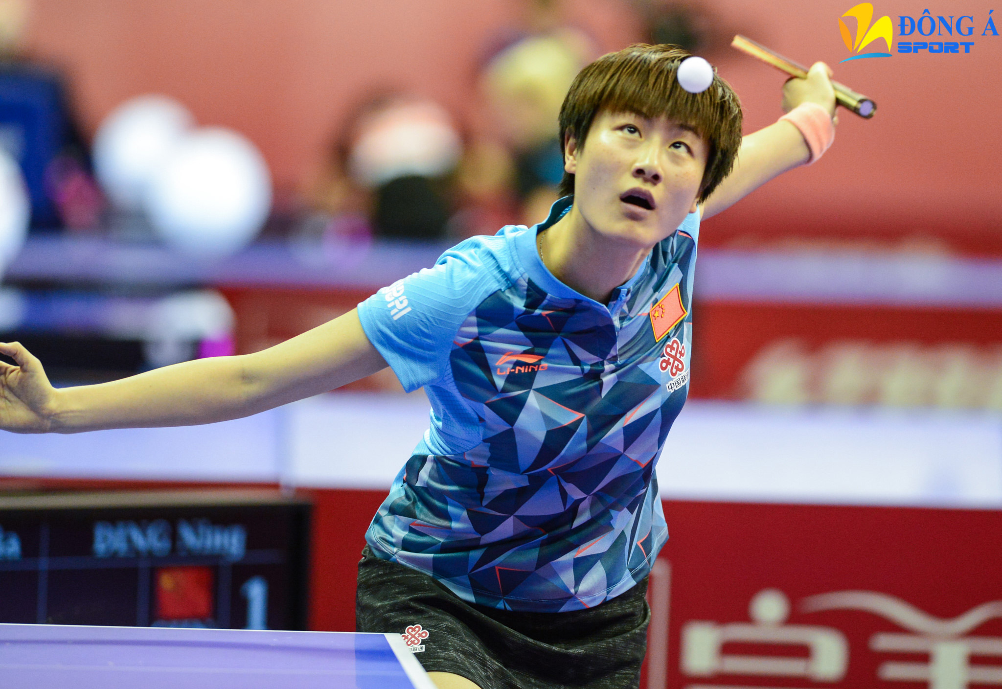 Lối chơi phòng ngự trong môn thể thao bóng bàn