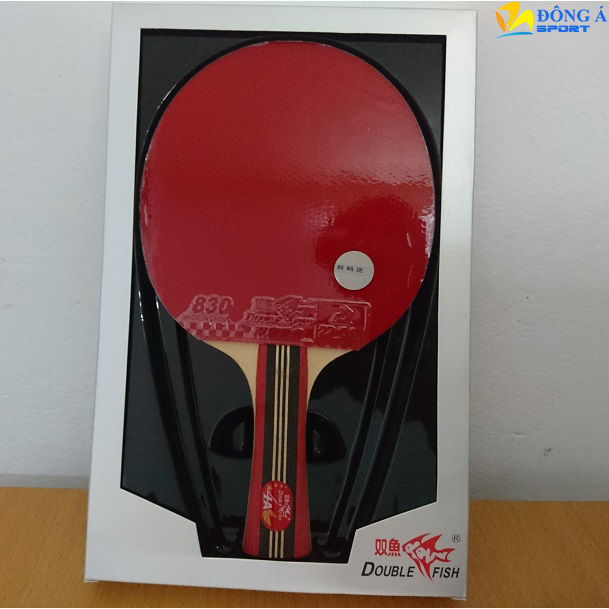 Hướng dẫn cách chọn vợt bóng bàn cho người mới chơi