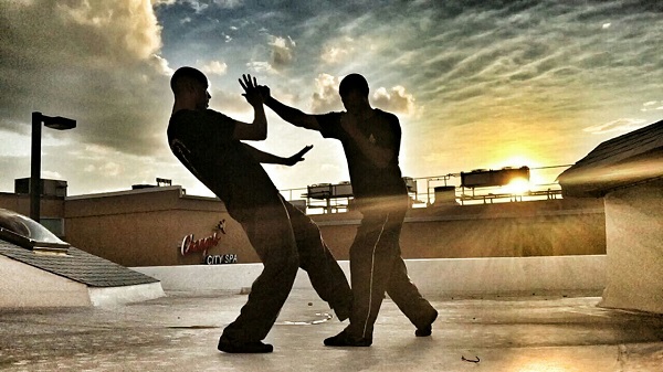 Nguyên lý khoa học của võ thuật Vịnh Xuân Quyền