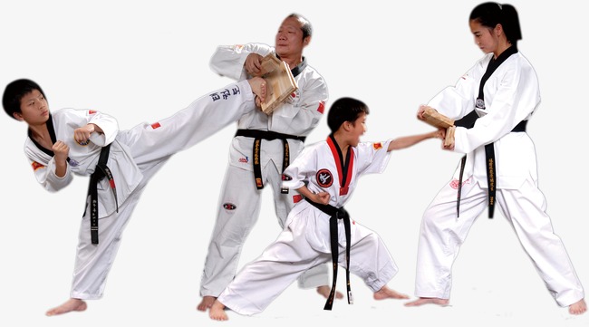 Các môn võ thuật tự vệ tốt nhất