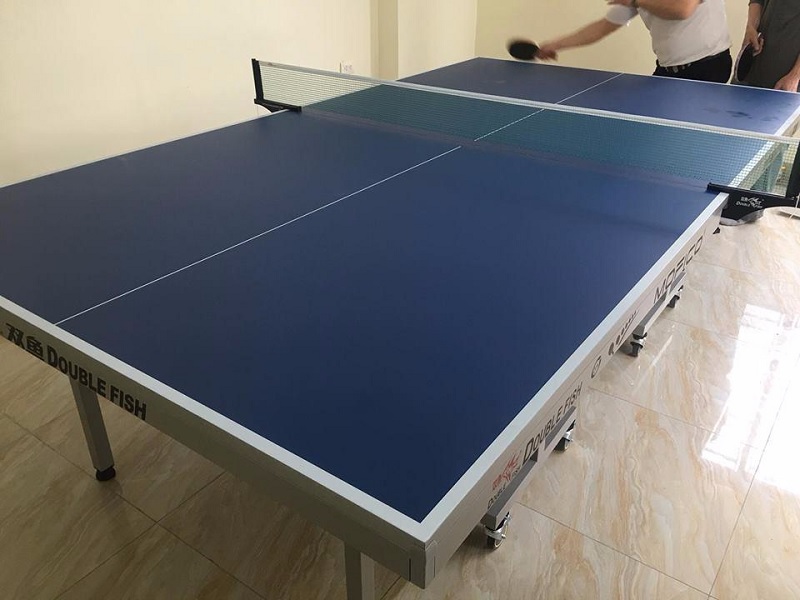 Ảnh thực tế bàn bóng bàn Double Fish 203M-2