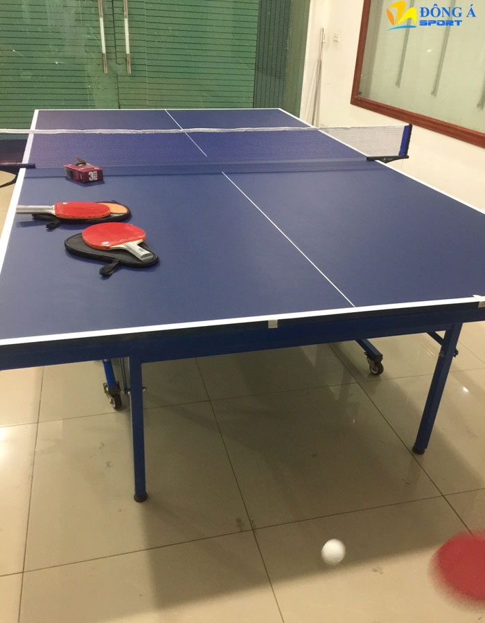 Ảnh bàn bóng bàn Đức Long PT-05 lắp tại nhà khách