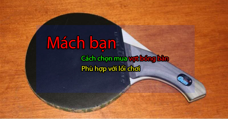 cách chọn mua vợt bóng bàn, cốt vợt bong bàn phù hợp với lối chơi