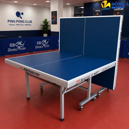 Hình ảnh thực tế bàn bóng bàn Double Fish 203M