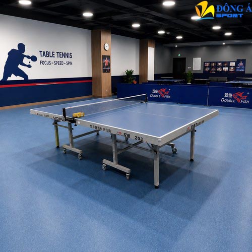 Hình ảnh thực tế bàn bóng bàn Double Fish 203M