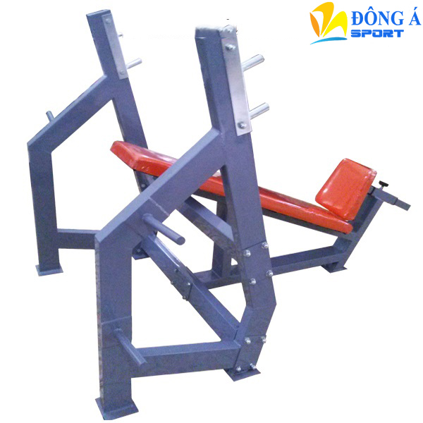 Ghế đẩy tạ dốc trên phòng tâp GYM