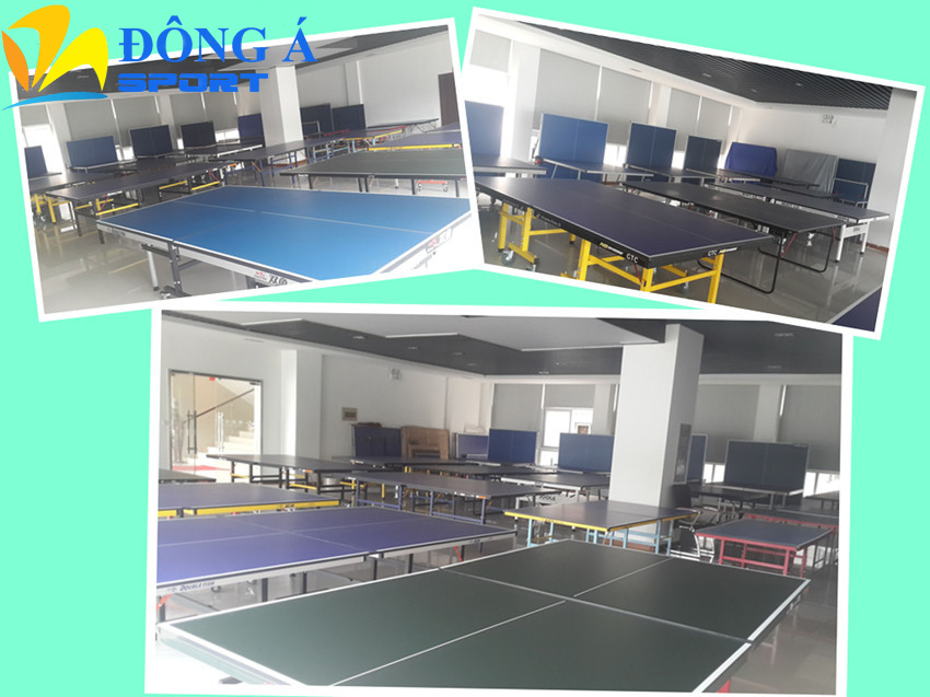 Gian trưng bày sản phẩm bàn bóng bàn