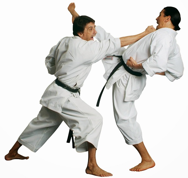 Kỹ thuật tấn trong võ thuật karate