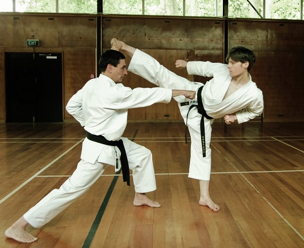 Võ thuật Karatedo