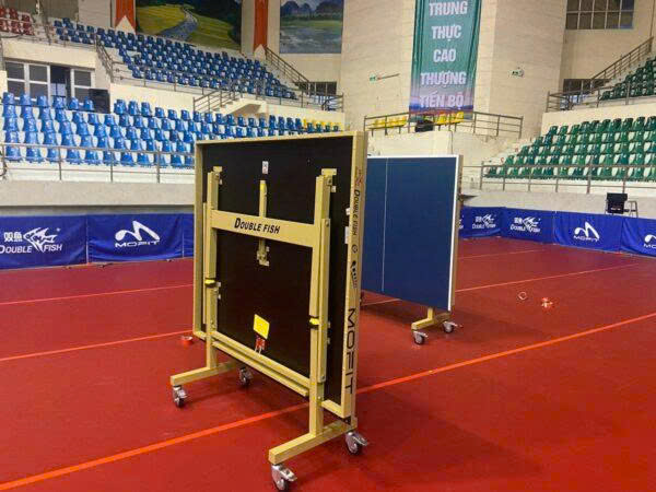 Bàn bóng bàn Double Fish 235G