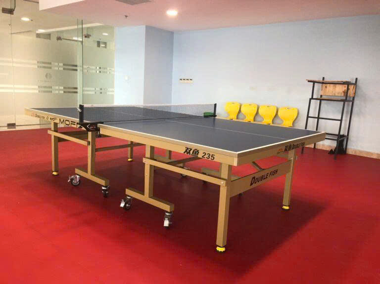 Bàn bóng bàn Double Fish 235G